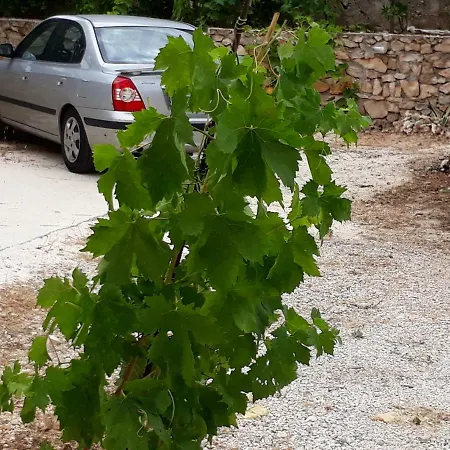 Piccolo Paradiso * Vinišće